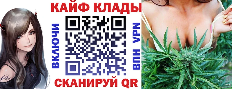 Виды наркотиков купить Моршанск MEGA как войти COCAIN ГАШ Марихуана