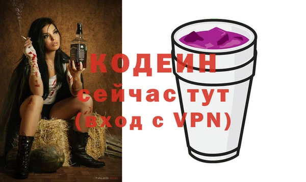 амф Козельск