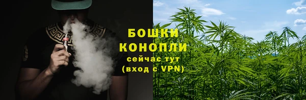 амф Козельск