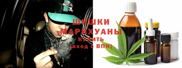 стаф Вязьма