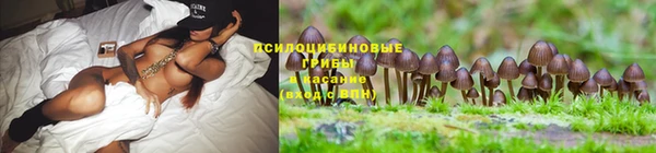 скорость Коряжма