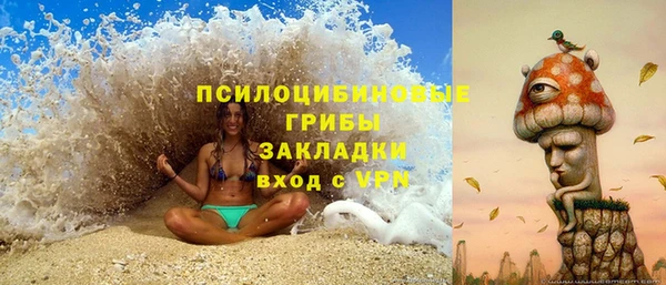 твердый Костерёво