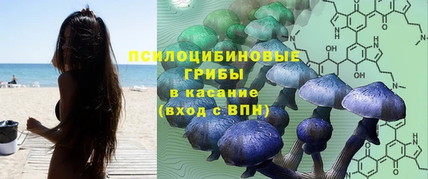 винт Кодинск