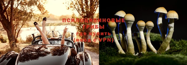 мет Козловка