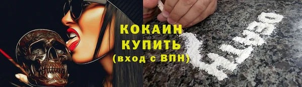 амф Козельск