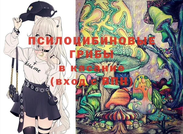 амф Козельск