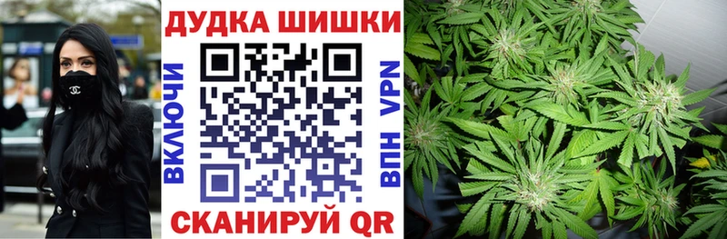 Бошки марихуана Amnesia  даркнет сайт  Моршанск 