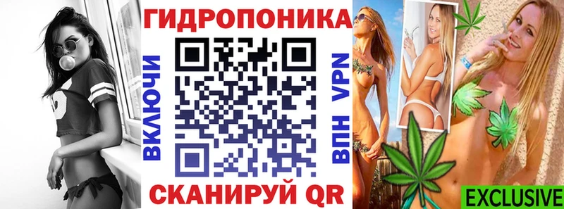 Шишки марихуана конопля Моршанск